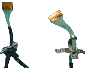 Digital camera with dedicated lines