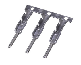 科帕奇大公端子