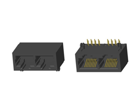 RJ45 5921 ; Double port ; Without LED ; Without metal shield . PCB Retaining Post: hollow(Type B）